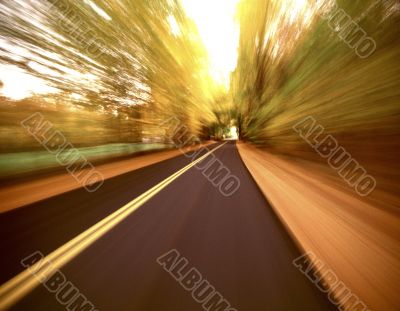 Sunlit Open Road Through Countryside