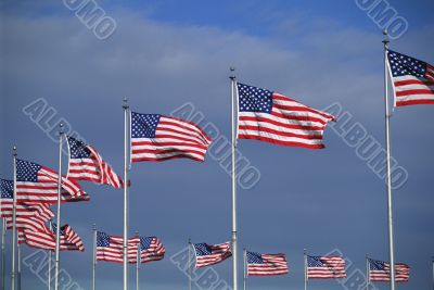 flags surrounding Washington Monument