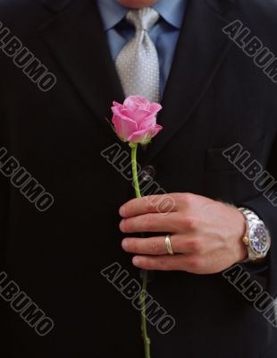 husband with Valentine`s Day pink rose