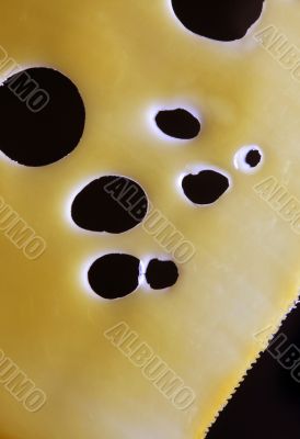Cheese Cheese