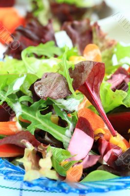 Mixed vegetable salad Mixed vegetable salad