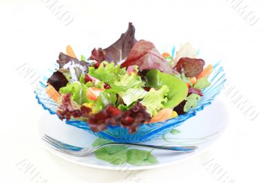 Mixed vegetable salad