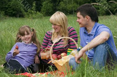 Family having picnic in park