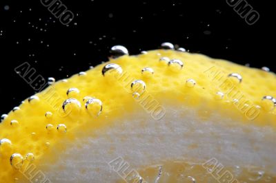 lemon in water closeup lemon in water closeup
