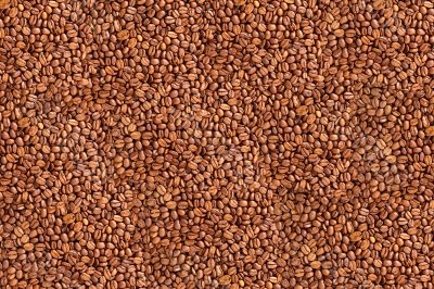 Fried coffee beans color background