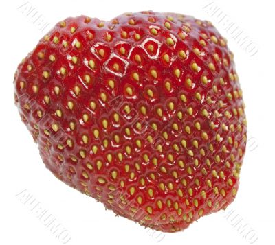 Fresh Isolated Strawberry