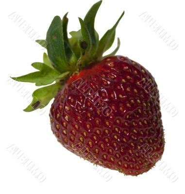 Fresh Isolated Strawberry