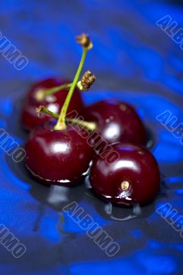 cherry in the water macro cherry in the water macro