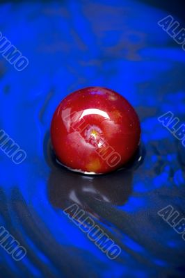 Plum in the water Plum in the water