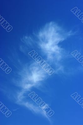 Cloud look like sea-horse