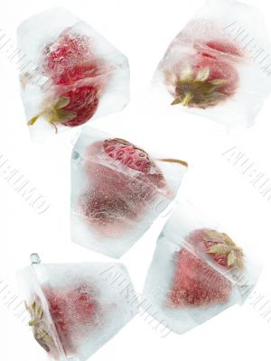 frozen strawberry in ice cubes