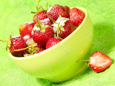 fresh tasty strawberry under sugar in plate on the green backgro