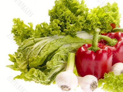 fresh tasty vegetables on white background