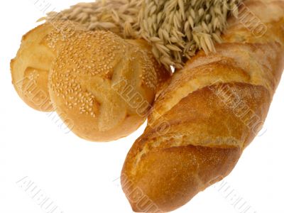Delicious bread on white background
