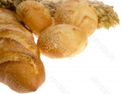 Delicious bread on white background