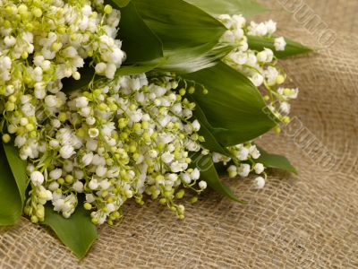 With love. Still-life. lily of the valley on the burlap