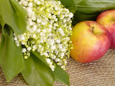 With love. Still-life. lily of the valley and apple on the burla