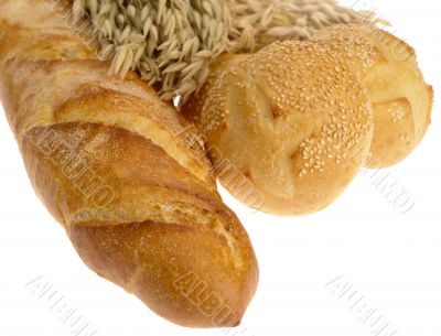 Delicious bread on white background