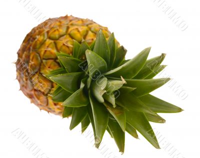 pineapple on white background with clipping path