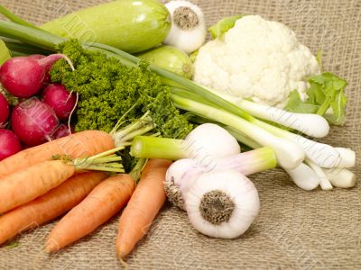 fresh tasty vegetables on burlap