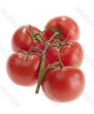 fresh tasty tomatoes on white background with clipping path