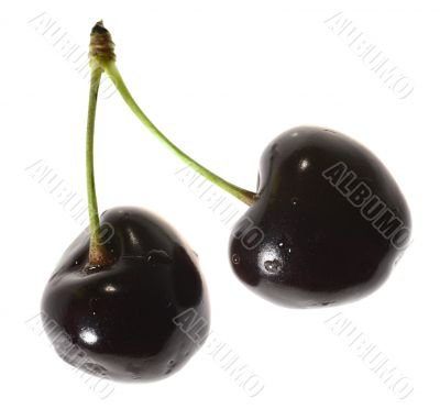 sweet tasty cherry on white background