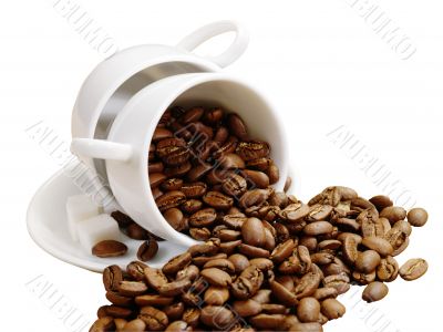 Coffee Cup. Coffee Beans on plate Coffee Cup. Coffee Beans on plate