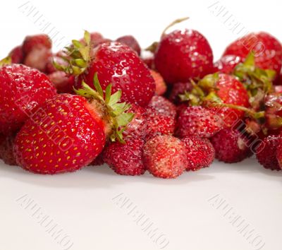 strawberry and wild strawberry on the table with shadows strawberry and wild strawberry on the table with shadows