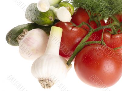 fresh tasty vegetables on white background with clipping path