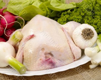 chicken prepared for cooking with spices on burlap