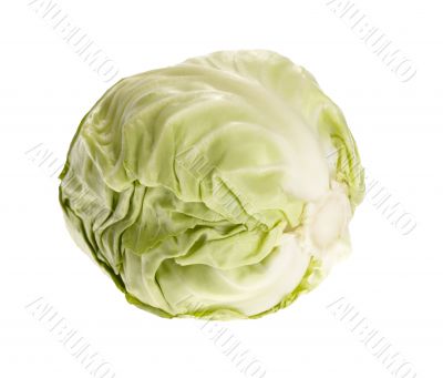 fresh tasty cabbage on white background. with clipping path