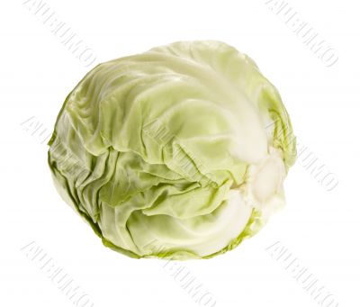 fresh tasty cabbage on white background. with clipping path fresh tasty cabbage on white background. with clipping path