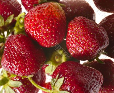 fresh tasty strawberry on bright background fresh tasty strawberry on bright background