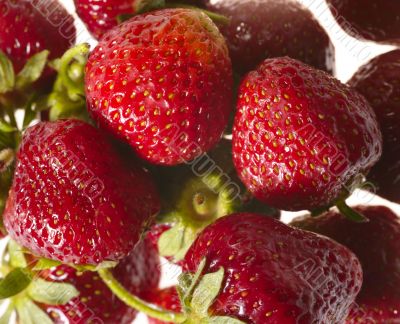 fresh tasty strawberry on bright background