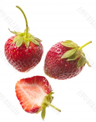 fresh tasty strawberry on white background fresh tasty strawberry on white background