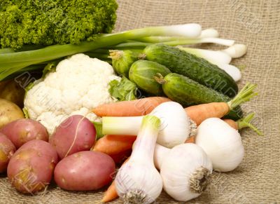 fresh tasty vegetables on burlap