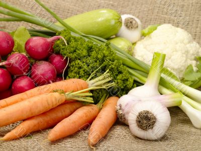 fresh tasty vegetables on burlap