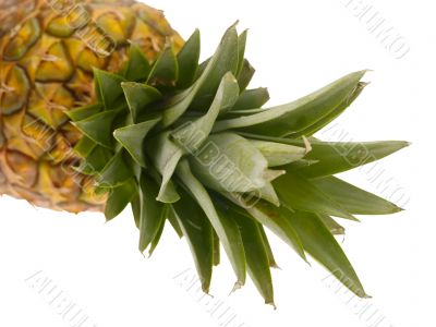 pineapple on white background with clipping path