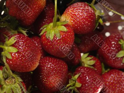 fresh tasty strawberry on to  colander