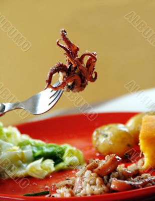 Risotto with squids Risotto with squids