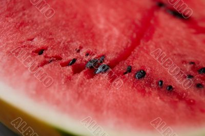 Water melon detail