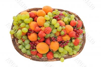 fresh fruits
