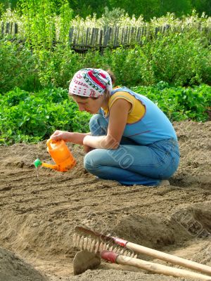 sowing sowing