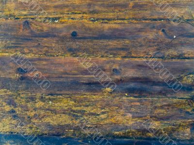 wood under water