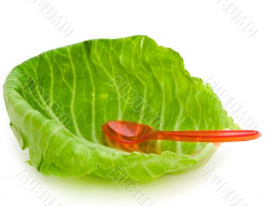 cabbage leaf and spoon cabbage leaf and spoon