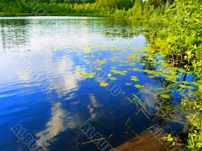 lake reflection