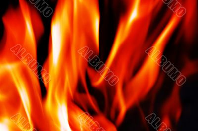 Burning fire close-up, may be used as background