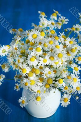 Chamomile bouquet Chamomile bouquet