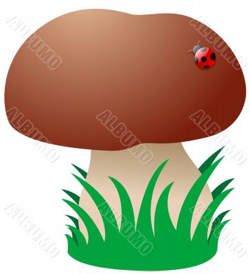 Cartoon Mushroom