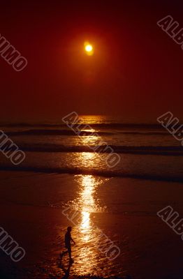 Person On Beach At Sunset